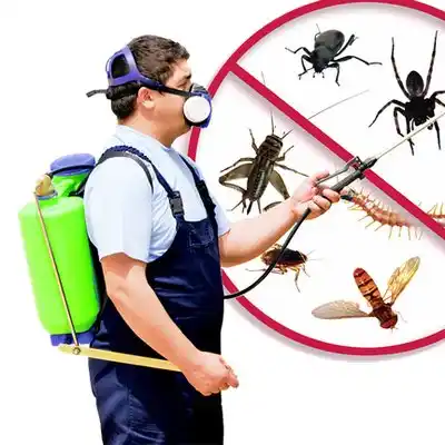 pest control Rockland